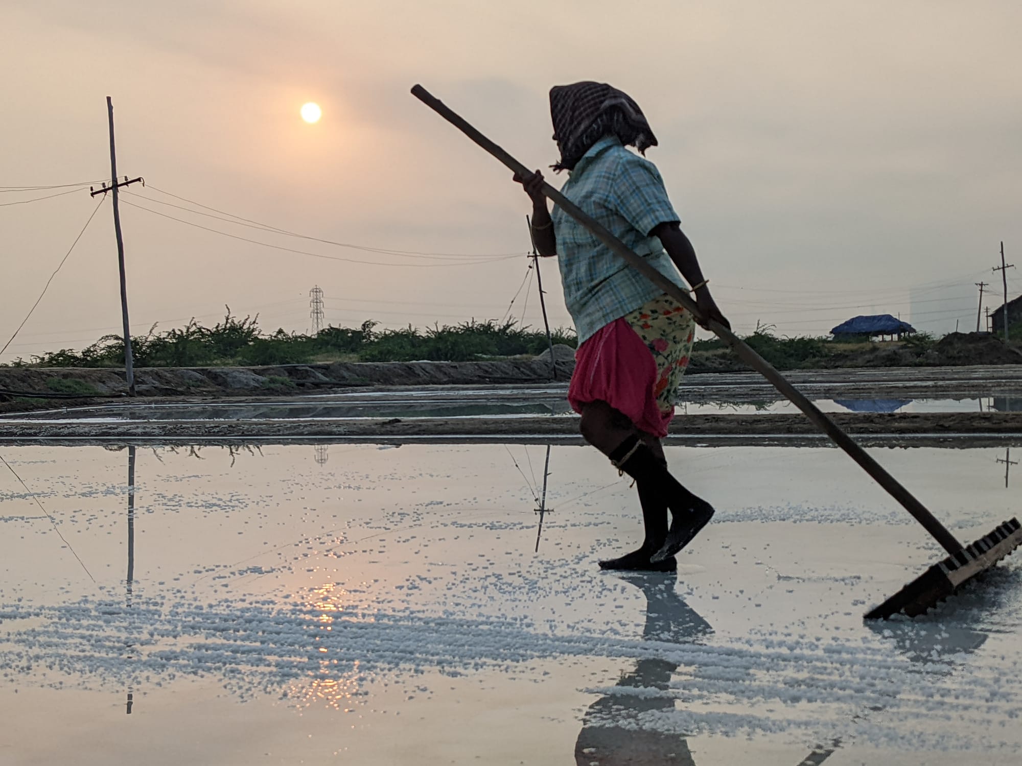 Organizing Salt Workers